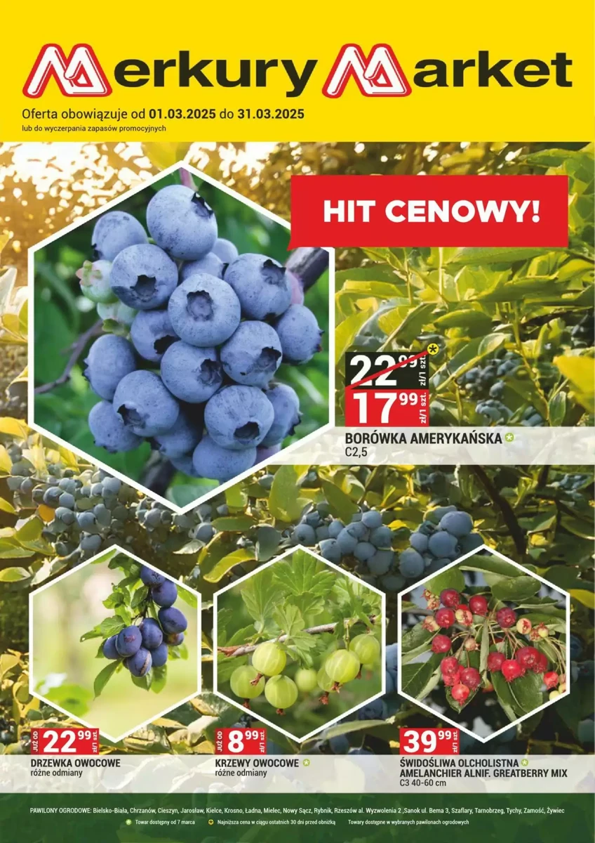 Gazetka Merkury Market od 01.03.2025 💰 Oszczędzaj Więcej!